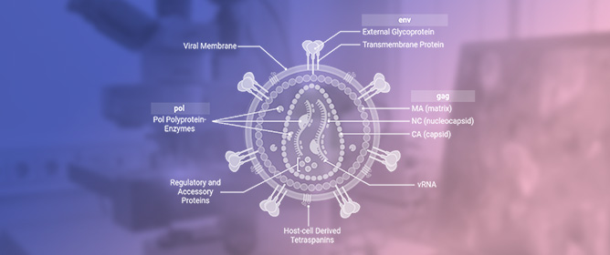 Super-Resolution Microscopy of HIV