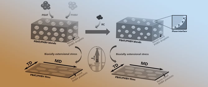 In Situ Constructing Highly Aligned Ribbon-like PHBV Lamellae in PBAT: Towards Strong, Ductile and High-Barrier PBAT/PHBV Films