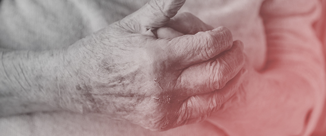 Pruritus in Palliative Care: A Narrative Review of Essential Oil-Based Strategies to Alleviate Cutaneous Discomfort