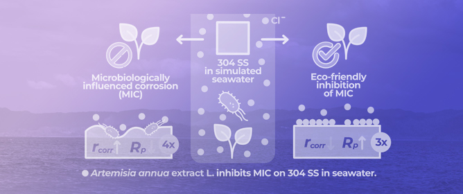 Inhibition of Microbiologically Influenced Corrosion of 304 Stainless Steel by <em>Artemisia annua</em> L. in Simulated Seawater