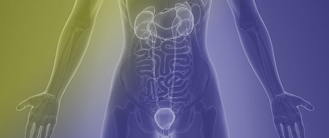 JUNB and JUND in Urological Cancers: A Literature Review