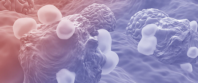 Tumor Immune Microenvironment and Checkpoint Inhibition in Clear Cell Ovarian Carcinoma: Bridging Tumor Biology and Clinical Application in Immunotherapy