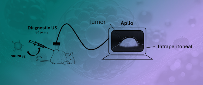 Therapeutic pCRISPRi Delivery to Lung Squamous Cell Carcinoma by Combining Nanobubbles and Ultrasound