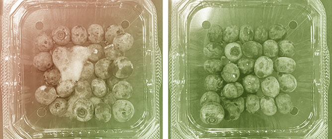 Long-Term Blueberry Storage by Ozonation or UV Irradiation Using Excimer Lamp