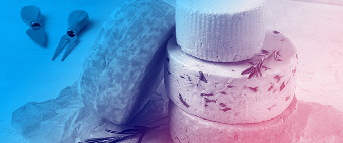 Application of Animal- and Plant-Derived Coagulant in Artisanal Italian Caciotta Cheesemaking: Comparison of Sensory, Biochemical, and Rheological Parameters