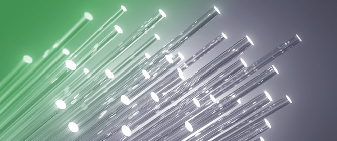 Singular Value Decomposition-Assisted Holographic Generation of High-Quality Cylindrical Vector Beams Through Few-Mode Fibers
