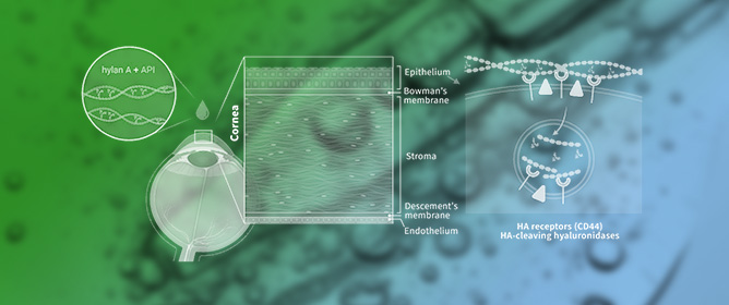 Very High Molecular Weight Hyaluronic Acid as an Enhanced Vehicle in Therapeutic Eye Drops: Application in a Novel Latanoprost Formulation for Glaucoma