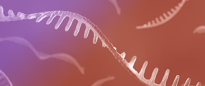 Same Fragments, Different Diseases: Analysis of Identical tRNA Fragments Across Diseases Utilizing Functional and Abundance-Based Databases