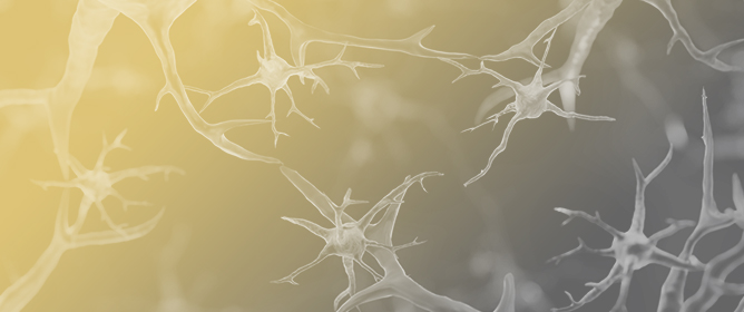 PIEZO Channels in Mechano-Inflammation: Gatekeepers of Neuroimmune Crosstalk