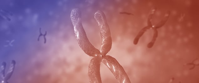 XIST Loss Induces Variable Transcriptional Responses Dependent on Cell States