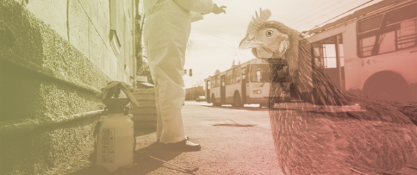 Microbiome&ndash;Immune Interaction and Harnessing for Next-Generation Vaccines Against Highly Pathogenic Avian Influenza in Poultry