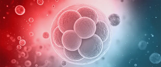 Polygenic Embryo Risk Scores: A Survey of Public Perception