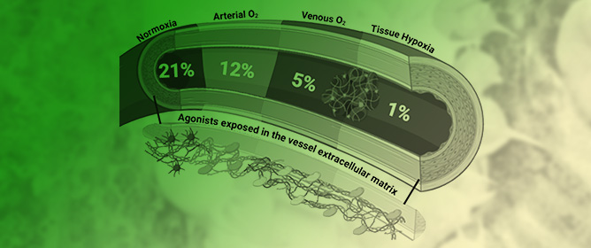 The Oxygen Dependency of Fibrinogen-Mediated Platelet Activation via &alpha;<sub>IIb</sub>&beta;<sub>3</sub>
