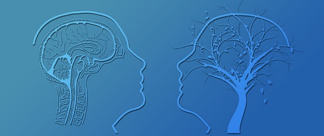 A Confirmatory Factor Analysis of the Dementia Attitude Scale (DAS) in a European Case Series of Caregivers of People with Dementia Enrolled in the RECage Study