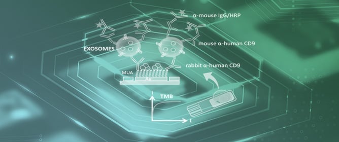 Cutting-Edge Sensor Technologies for Exosome Detection: Reviewing Role of Antibodies and Aptamers