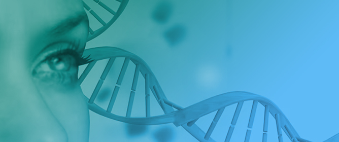Genetic Therapies for Retinitis Pigmentosa: Current Breakthroughs and Future Directions