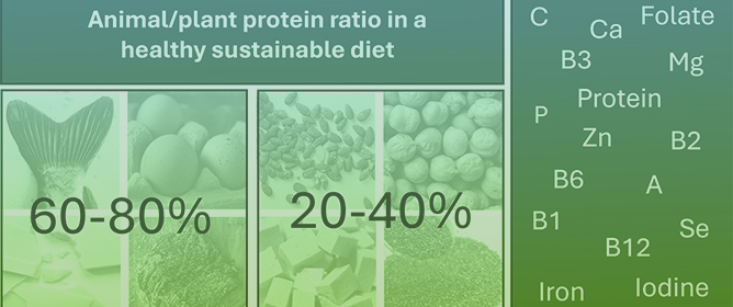 Protein Source and Micronutrient Adequacy in Australian Adult Diets with Higher Diet Quality Score and Lower Environmental Impacts