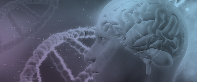 ABCC6 Involvement in Cerebral Small Vessel Disease: Potential Mechanisms and Associations