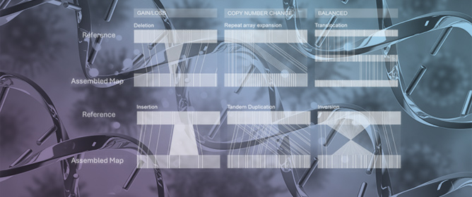 Optical Genome Mapping: A New Tool for Cytogenomic Analysis
