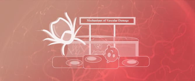 Cerebrovascular Disease as a Manifestation of Tick-Borne Infections: A Narrative Review