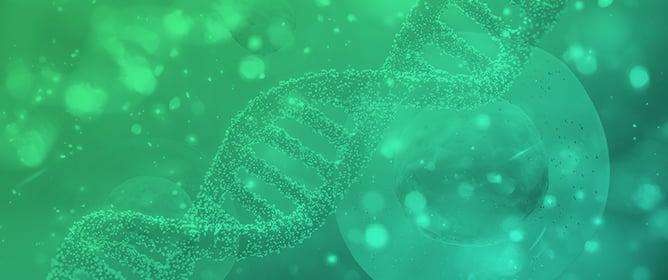 Linear DNA–Chitosan Nanoparticles: Formulation Challenges and Transfection Efficiency in Lung Cell Line
