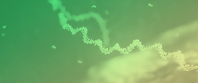 Bioinformatics Analysis of Unique High-Density Lipoprotein-MicroRNAs Cargo Reveals Its Neurodegenerative Disease Potential