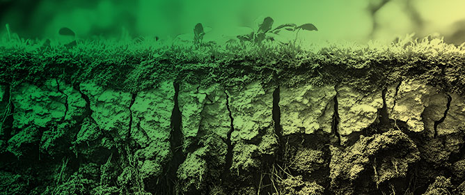 Leveraging Soil Geography for Land Use Planning: Assessing and Mapping Soil Ecosystem Services Indicators in Emilia-Romagna, NE Italy