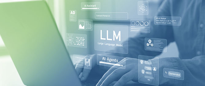 Leveraging Large Language Models for Sustainable and Inclusive Web Accessibility