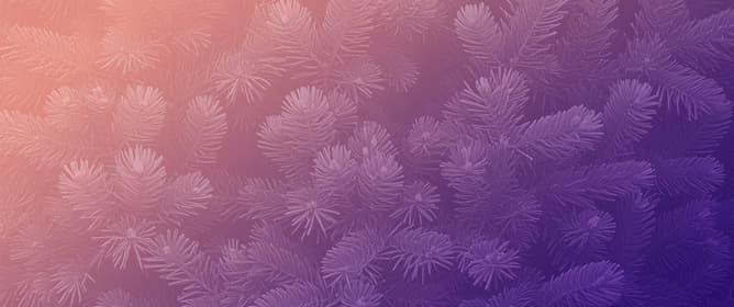 In Silico and In Vitro Analysis of Synergistic Bioactivities of <em>Morus alba</em> and <em>Pinus densiflora</em> Extracts with Methyl Gallate