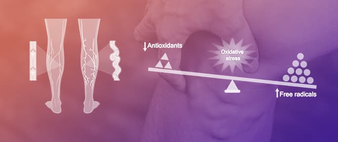 Oxidative Stress in the Pathophysiology of Chronic Venous Disease