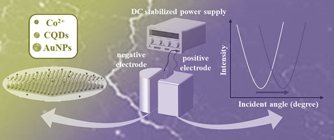 Electric Field-Enhanced SPR Sensors with AuNPs and CQDs for Rapid and Low-Detection-Limit Detection of Co<sup>2+</sup>