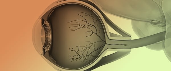 Methamphetamine-Induced Loss of Syndecan-1 and Retinal Endothelial Integrity via the TAAR-1/MMP-9 Pathway
