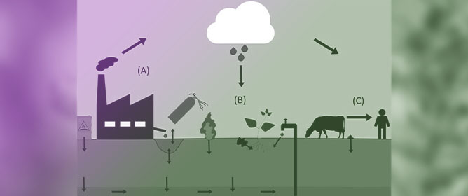 Making the Connection Between PFASs and Agriculture Using the Example of Minnesota, USA: A Review