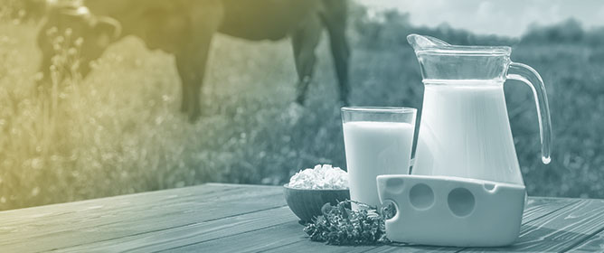 NMR-Based Metabolomic Profiling Highlights Functional Nutritional Gaps Between Human Milk, Infant Formulas, and Animal Milks