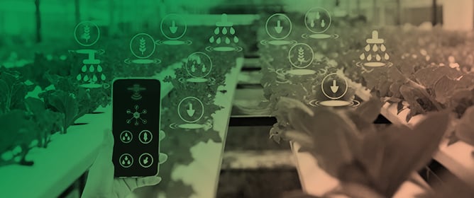 IncentiveChain: Adequate Power and Water Usage in Smart Farming Through Diffusion of Blockchain Crypto-Ether