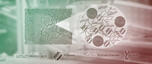 Targeting Bacterial Biofilms on Medical Implants: Current and Emerging Approaches