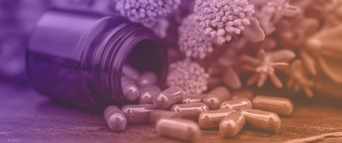Development of Orally Disintegrating Tablets of Standardized Rhodiola rosea Extract