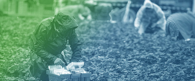 Development of a Mobile Health Monitoring and Alert Application for Agricultural Workers