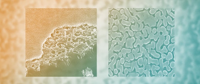 Nanoporous Layer Integration for the Fabrication of ISFET and Related Transistor-Based Biosensors