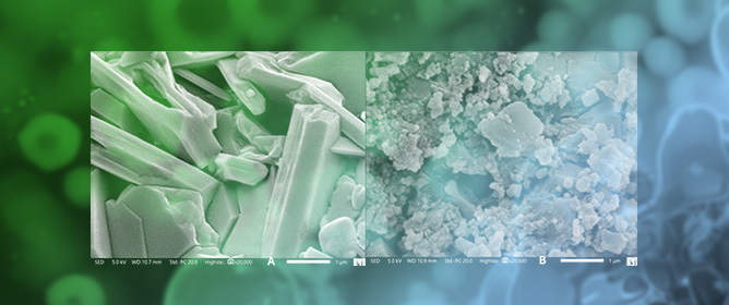 Development of a Drug Delivery System with Bacterial Cellulose and Gelatin: Physicochemical and Microbiological Evaluation