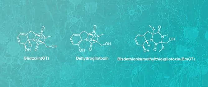 Progress in Gliotoxin Research