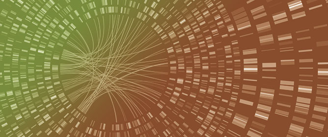 Genome Sequence and Characterization of <em>Bacillus cereus</em> Endophytes Isolated from the <em>Alectra sessiliflora</em> and Their Biotechnological Potential