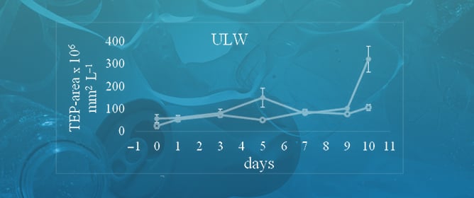 Exploring the Role of Polystyrene Microplastics in Cu Binding in Sea Surface Waters: An Experimental Perspective for Future Research