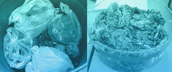 The Fate of Biodegradable Plastic Items Under Conditions of State-of-the-Art Composting