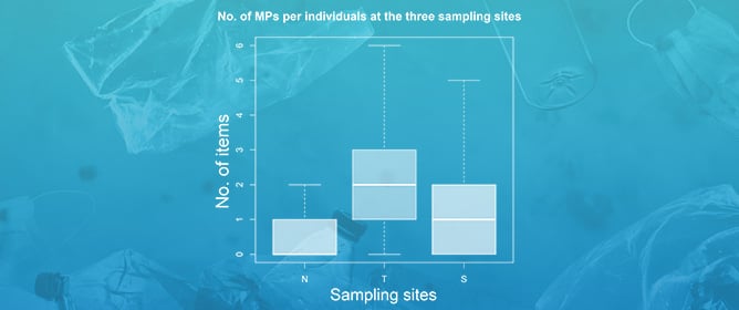 The Plastic Signature: Microplastic Ingestion and Phthalate Exposure in <em>Parapenaeus longirostris</em> from Three Tyrrhenian Sites (Mediterranean Sea)