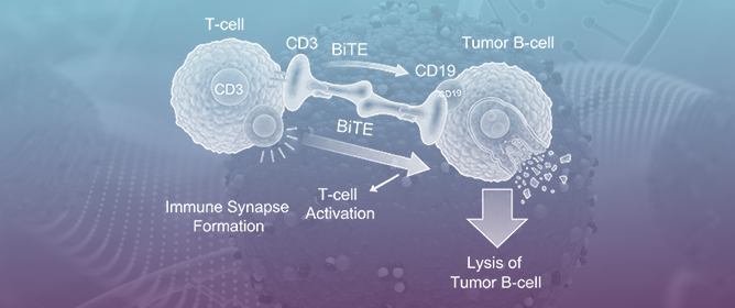 Sequencing Anti-CD19 Therapies in Diffuse Large B-Cell Lymphoma: From Mechanistic Insights to Clinical Strategies