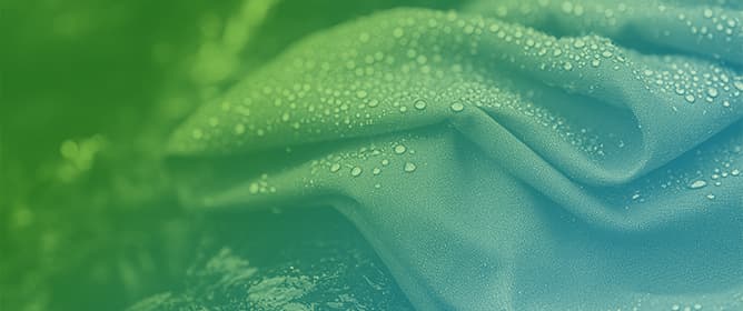 Controlled Hydrophilic–Hydrophobic Transition of PET Films via Fluorination and Drying