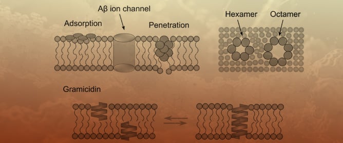Amyloid β 1-42 Can Form Ion Channels as Small as Gramicidin in Model Lipid Membranes