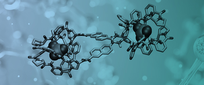Anion-Induced Self-Assembly of Bis(cyclopeptides) with Rigid Linkers