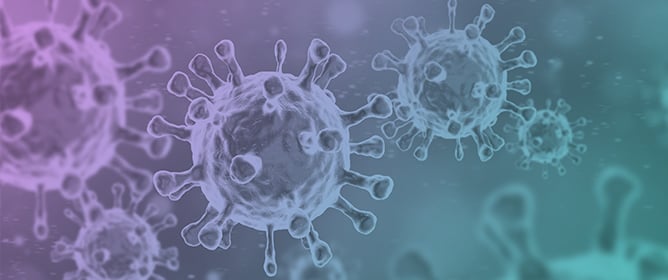 Evolving Spikes: From SARS to SARS-CoV-2